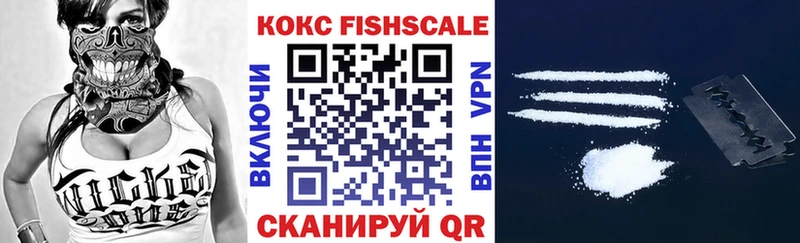 COCAIN FishScale  купить закладку  MEGA ТОР  Терек 