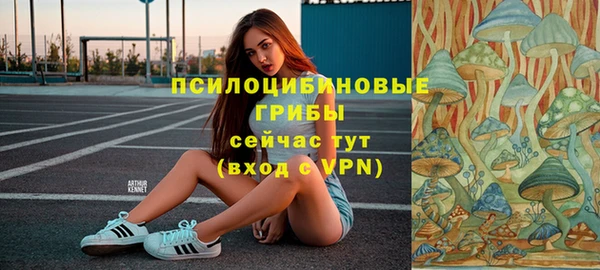 spice Лагань